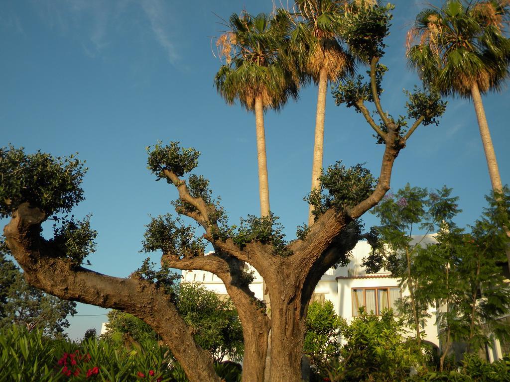 Hotel Parco Conte Casamicciola Terme Exteriér fotografie
