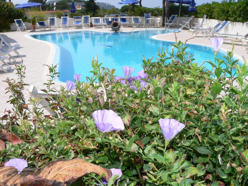 Hotel Parco Conte Casamicciola Terme Exteriér fotografie